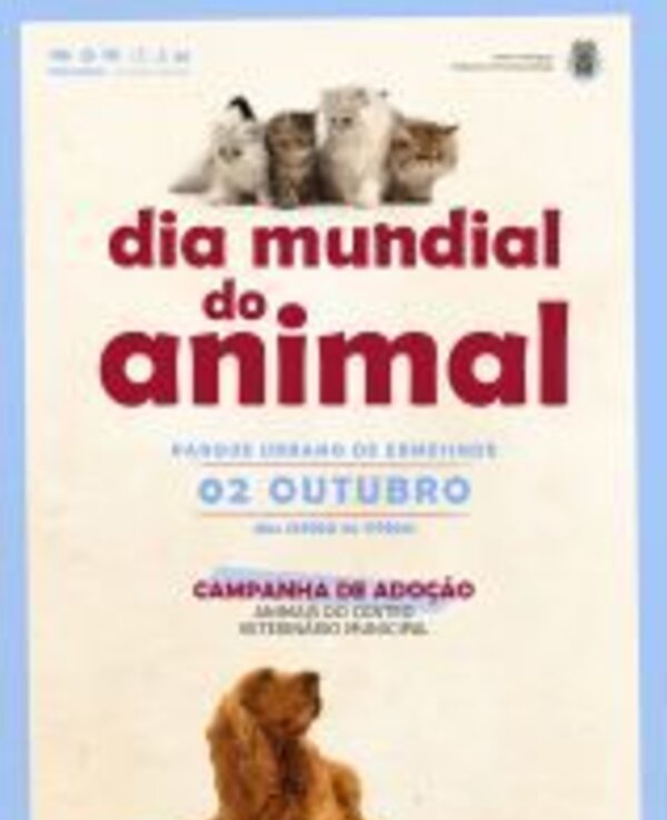 Cartaz do Dia Mundial do Animal com gatos e um cão, promovendo adoção.