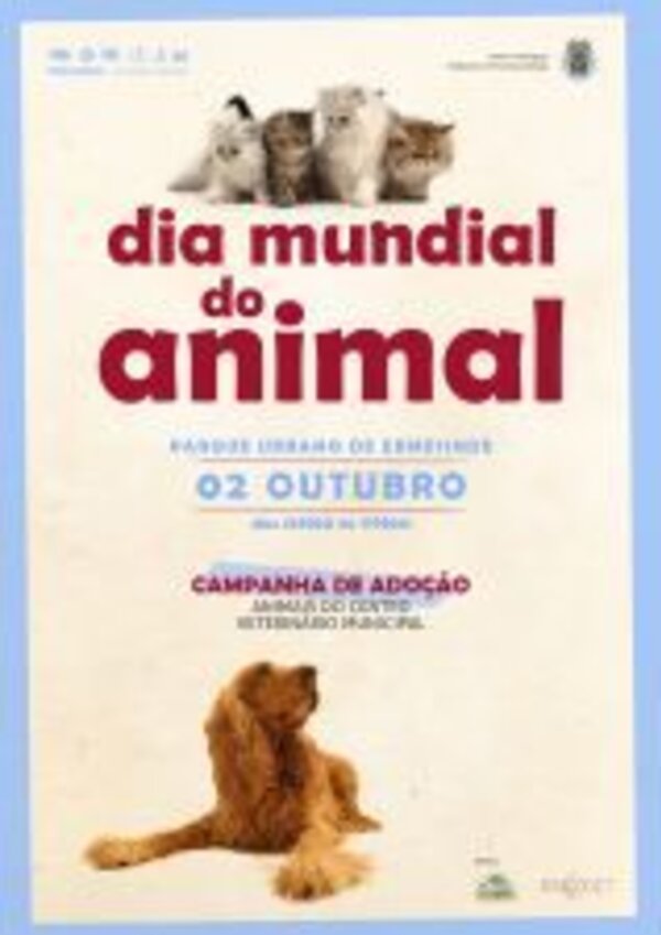 Cartaz do Dia Mundial do Animal com gatos e um cão, promovendo adoção.
