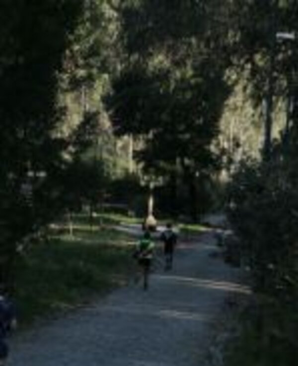 Três pessoas a andar de bicicleta num caminho de pedra em parque arborizado.