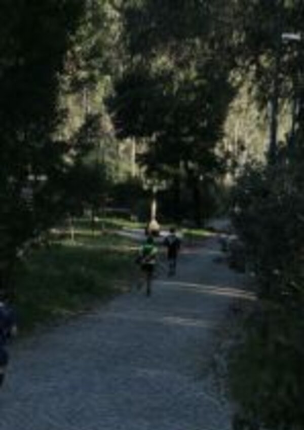 Três pessoas a andar de bicicleta num caminho de pedra em parque arborizado.