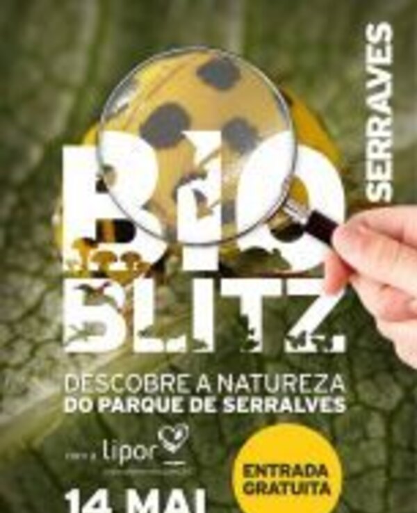Cartaz do evento BioBlitz no Parque de Serralves, com lupa e inseto.
