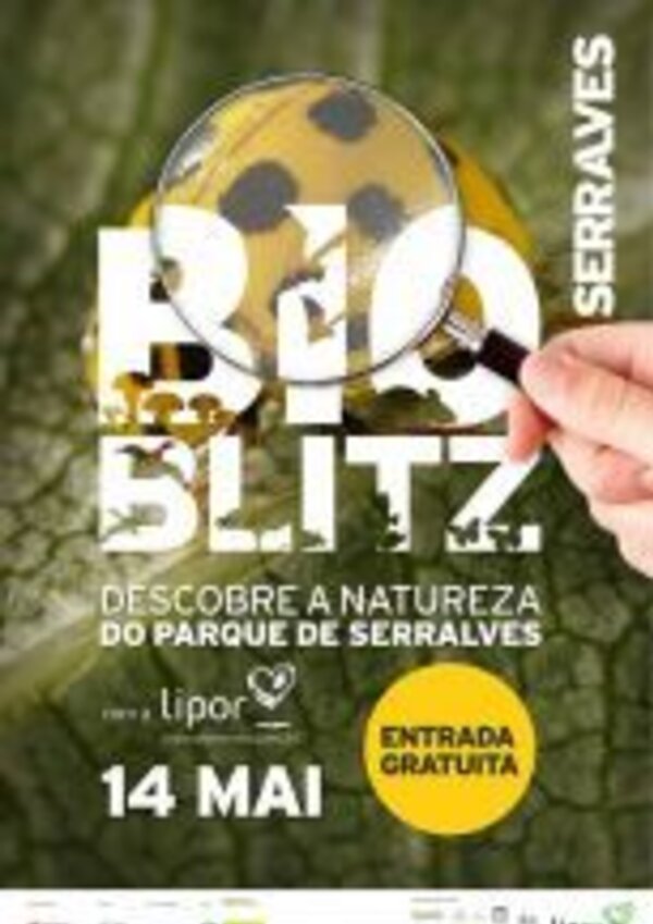 Cartaz do evento BioBlitz no Parque de Serralves, com lupa e inseto.