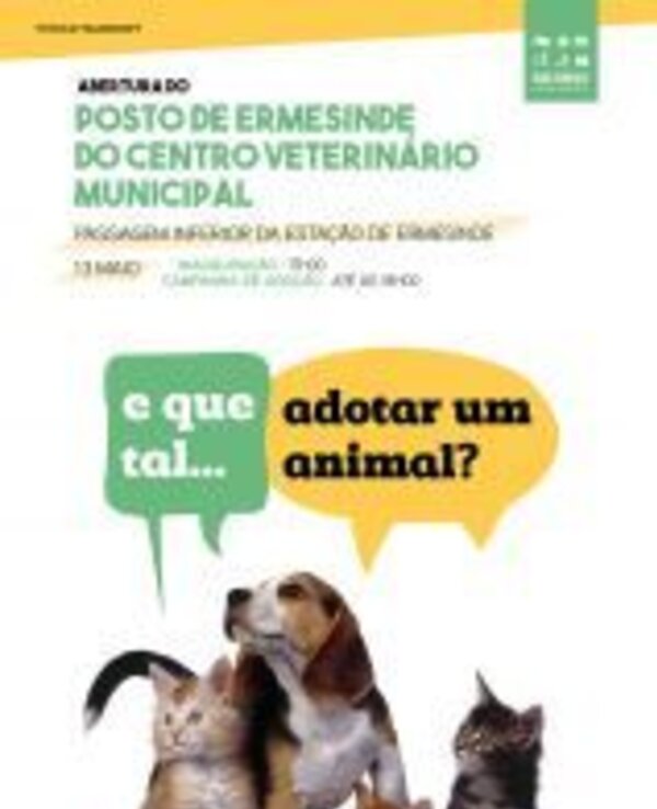 Imagem de cães e gatos com texto sobre adoção de animais.