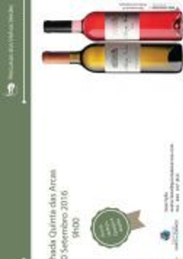 Cartaz de evento com garrafas de vinho e detalhes da caminhada.