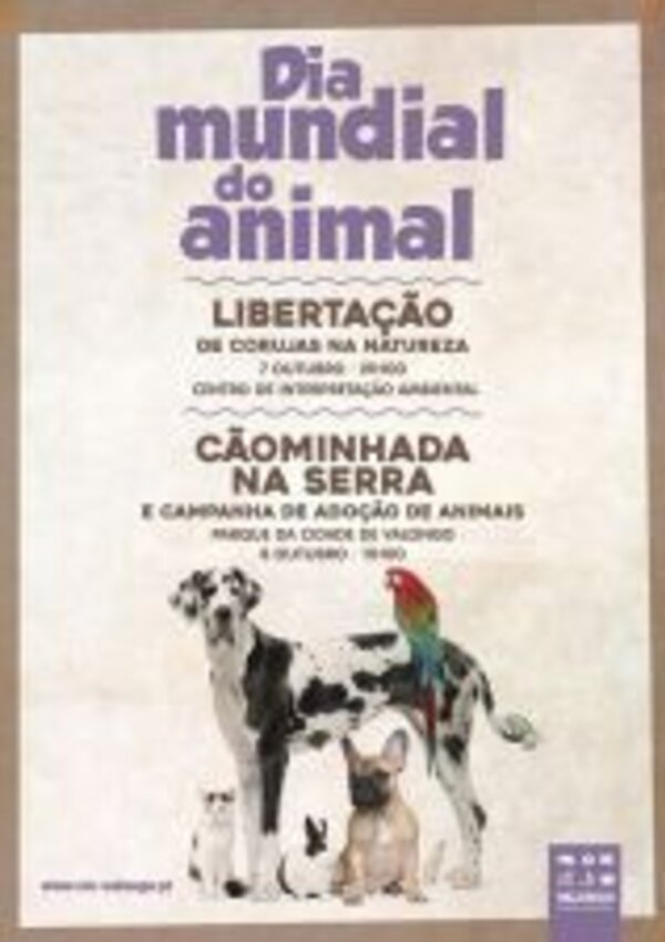 Cartaz do Dia Mundial do Animal com informações sobre eventos e adoção.