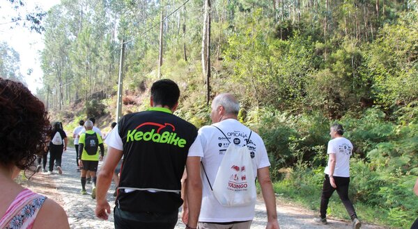 Grupo de pessoas a caminhar numa estrada de terra, rodeados por árvores.