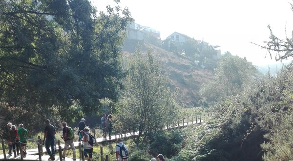 Grupo de pessoas a caminhar por um trilho natural, com vegetação e uma ponte.