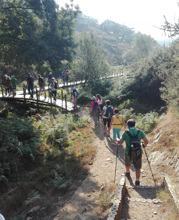 Grupo de pessoas a caminhar por um trilho natural, com vegetação e uma ponte.