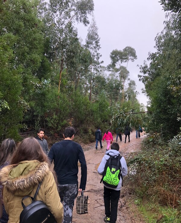Grupo de pessoas a caminhar por um caminho florestal, rodeado de eucaliptos.