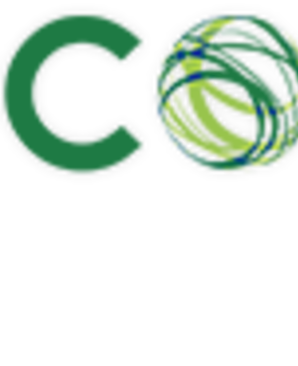 Logotipo do projeto COMPETE 2020, com letras verdes e um globo estilizado.