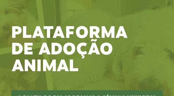 Cartaz informativo sobre a plataforma de adoção animal em Valongo.