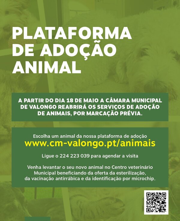 Cartaz informativo sobre a plataforma de adoção animal em Valongo.