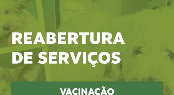 Cartaz informativo sobre vacinação e identificação eletrónica de animais.