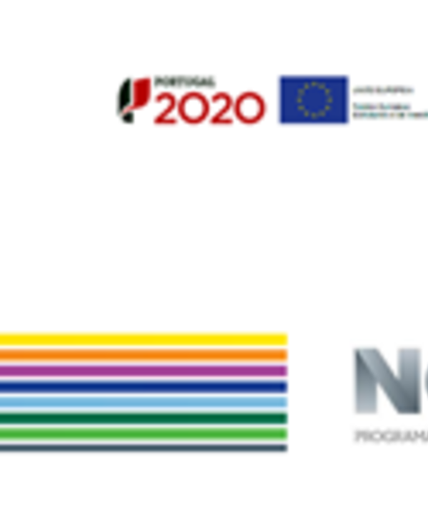Logos do programa Portugal 2020 e Norte 2020, com cores e texto informativo.