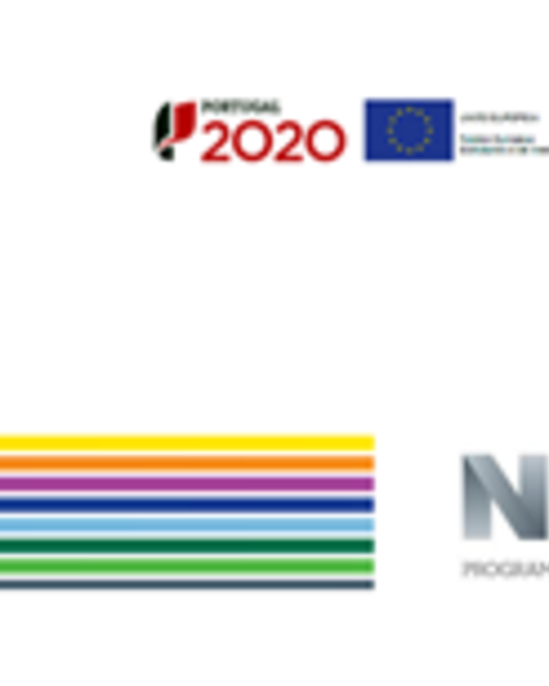 Logos do programa Portugal 2020 e Norte 2020, com cores e texto informativo.