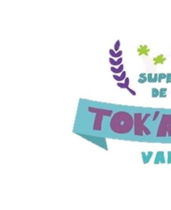 Logotipo do campo de férias Tok'Amexer em Valongo, com cores vibrantes.