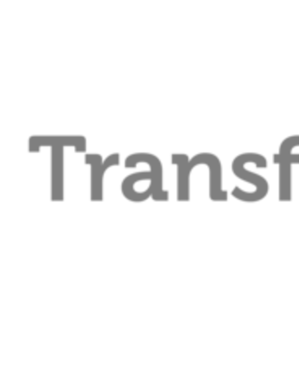 Logótipo da Transformação TI com formas geométricas em verde e cinza.