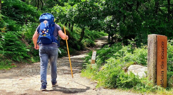 Homem a caminhar por um trilho florestal, com mochila e bastão.