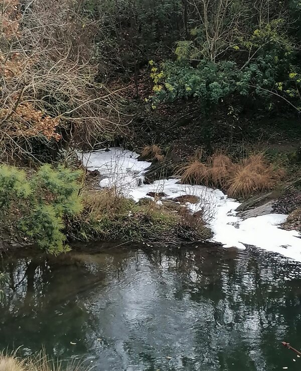 Ribeira com espuma branca, rodeada por vegetação e pedras.