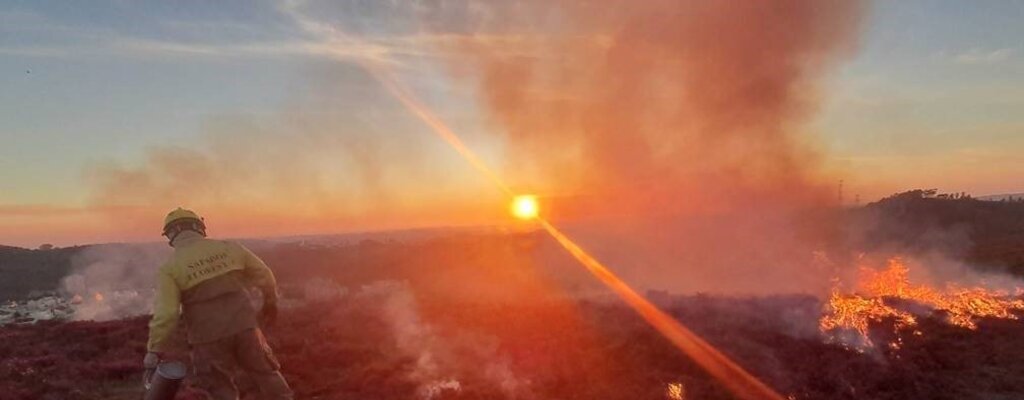 Prevenção e Controlo de Invasoras - Fogo Controlado no Parque das Serras do Porto
