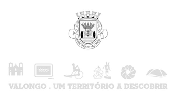 Logotipo do município de Valongo com ícones representativos abaixo.