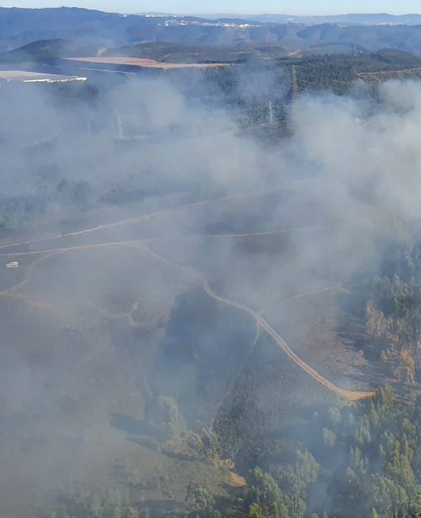 Vista aérea de um incêndio florestal com fumo a sair entre árvores.