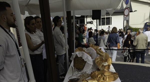 Mesa com pães variados, espigas de milho e cestos decorativos em evento.