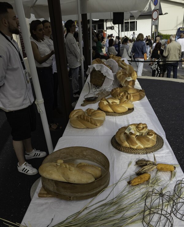 Mesa com pães variados, espigas de milho e cestos decorativos em evento.