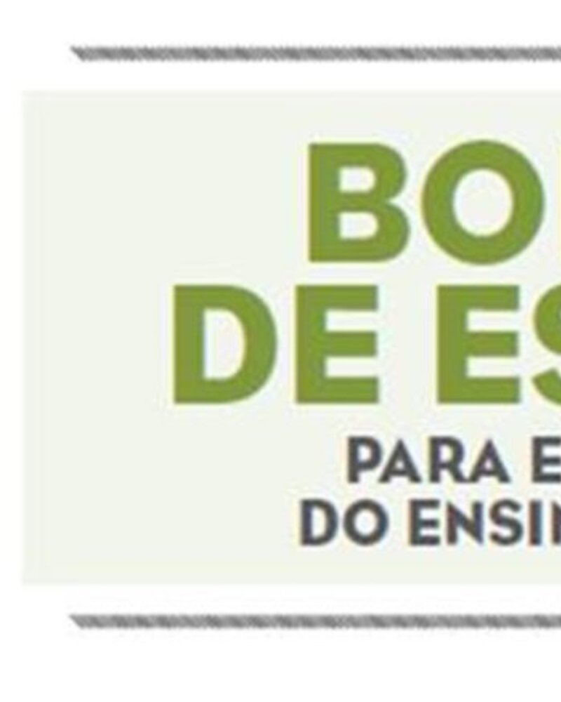 Texto informativo sobre bolsas de estudo para estudantes universitários.