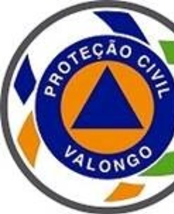 Logotipo da Proteção Civil de Valongo com triângulo azul e círculo laranja.