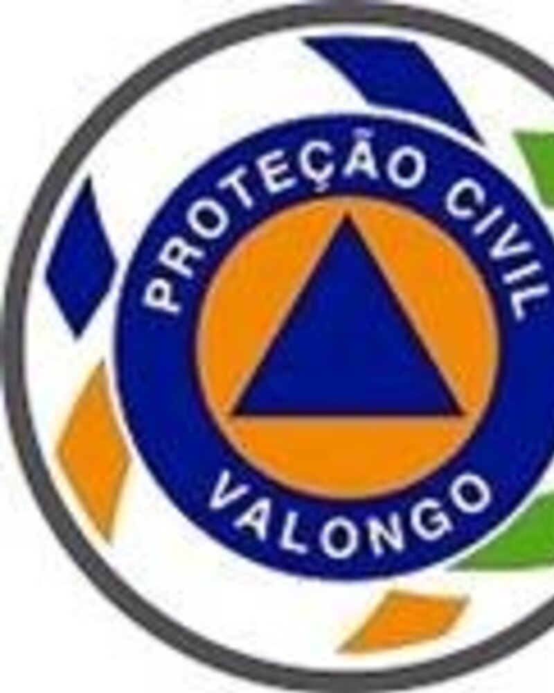 Logotipo da Proteção Civil de Valongo com triângulo azul e círculo laranja.