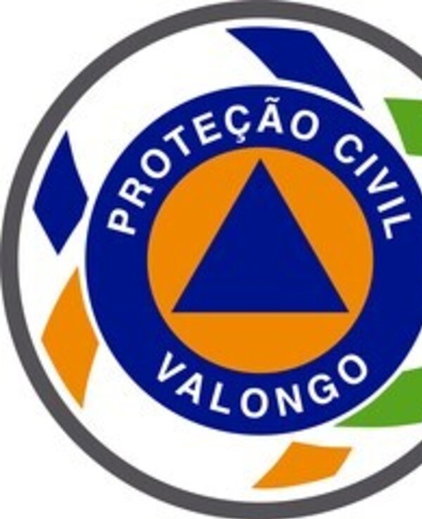 Logotipo da Proteção Civil de Valongo com triângulo azul e círculo laranja.