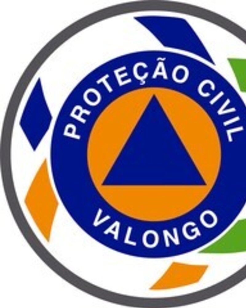 Logotipo da Proteção Civil de Valongo com triângulo azul e círculo laranja.