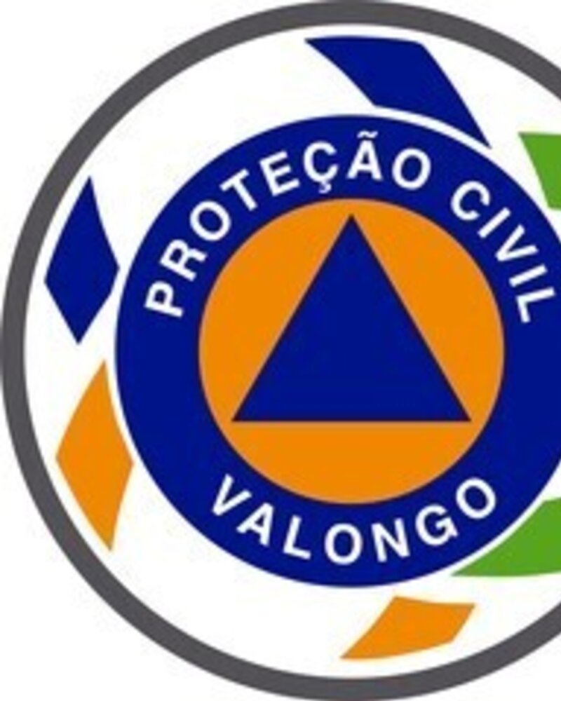 Logotipo da Proteção Civil de Valongo com triângulo azul e texto em círculo.
