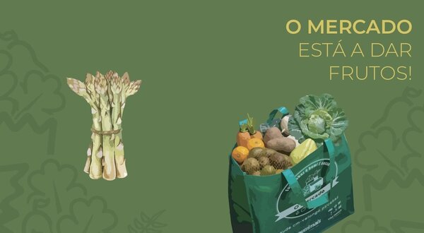 Imagem de espargos e uma bolsa verde cheia de legumes e frutas.