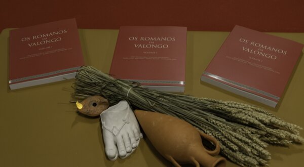 Três livros sobre os Romanos de Valongo com artefactos históricos em destaque.
