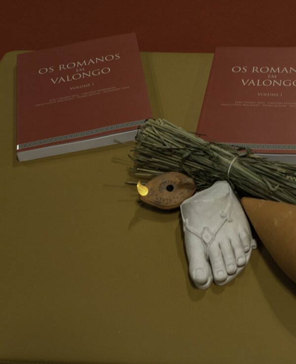 Três livros sobre os Romanos de Valongo com artefactos históricos em destaque.