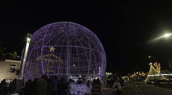 Decoração natalina com luzes roxas e árvore iluminada na rua à noite.