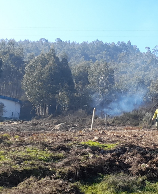 Homem a combater um incêndio florestal em terreno ardido com fumo.
