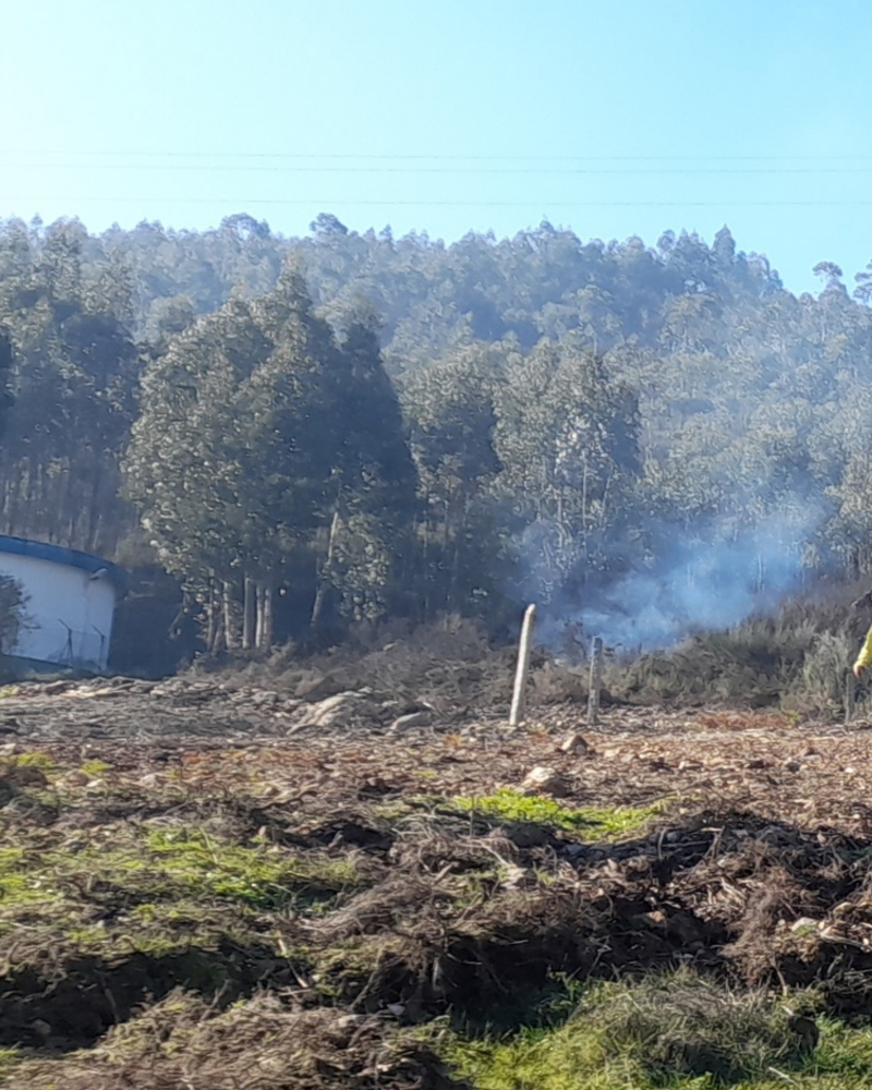 Homem a combater um incêndio florestal em terreno ardido com fumo.