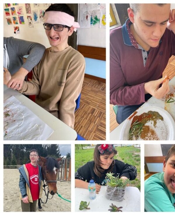 Atividades de grupo com crianças, incluindo artesanato e interação com animais.