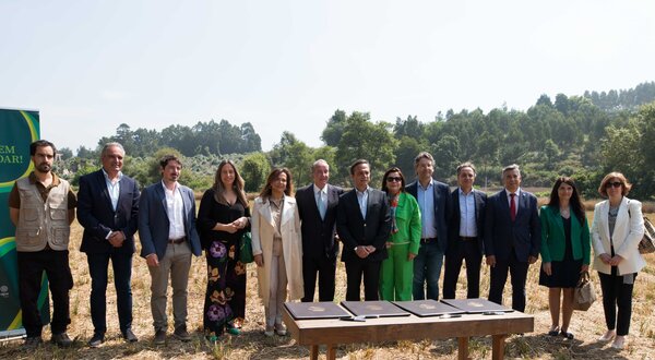 Grupo de pessoas em campo, com mesa e documentos, rodeados pela natureza.