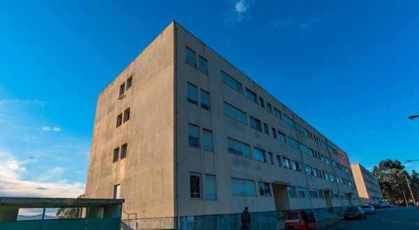 Edifício de betão com janelas grandes, céu azul ao fundo e um cão na rua.