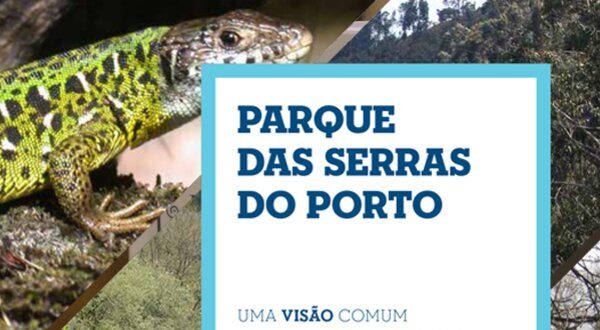 Imagem do Parque das Serras do Porto com paisagens naturais e um lagarto.