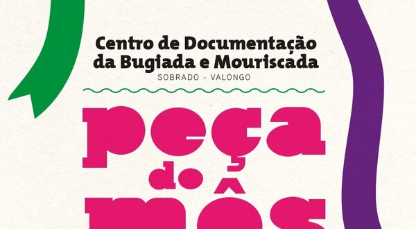 Imagem de uma barreta de reimoeiro com fitas coloridas.