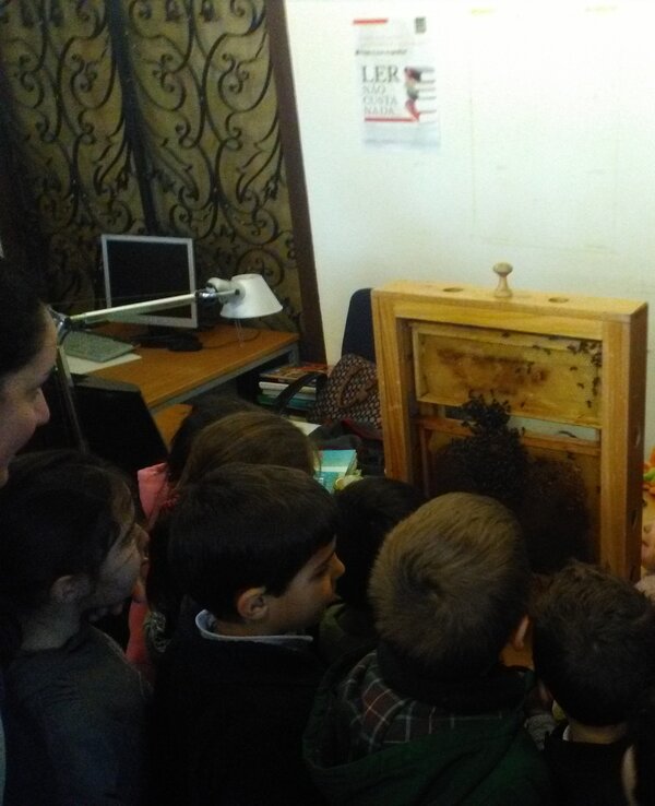 Um grupo de crianças observa um painel de apicultura com um adulto.