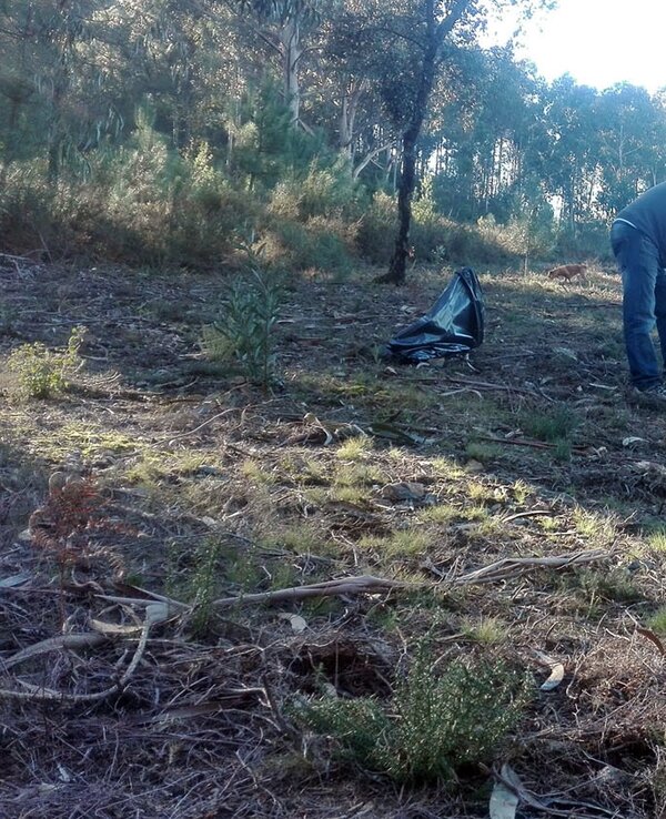 Homem a plantar uma árvore numa área florestal com vegetação.