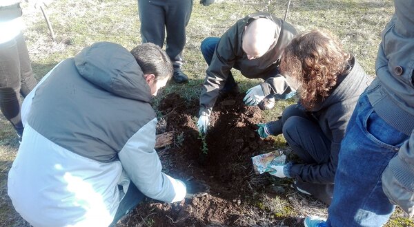 Grupo de pessoas a plantar uma árvore em solo preparado.