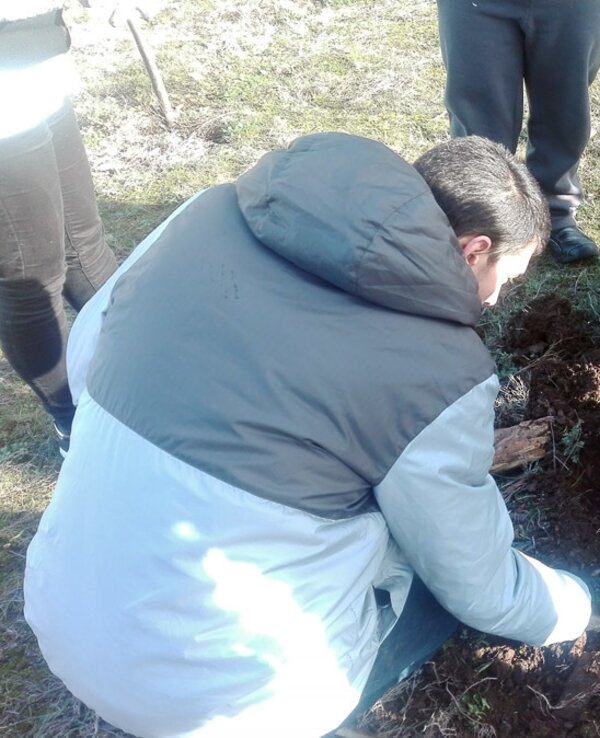 Grupo de pessoas a plantar uma árvore em solo preparado.