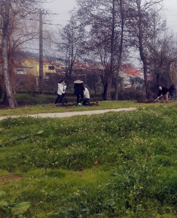 Grupo de pessoas a limpar um espaço verde, rodeado de árvores e vegetação.